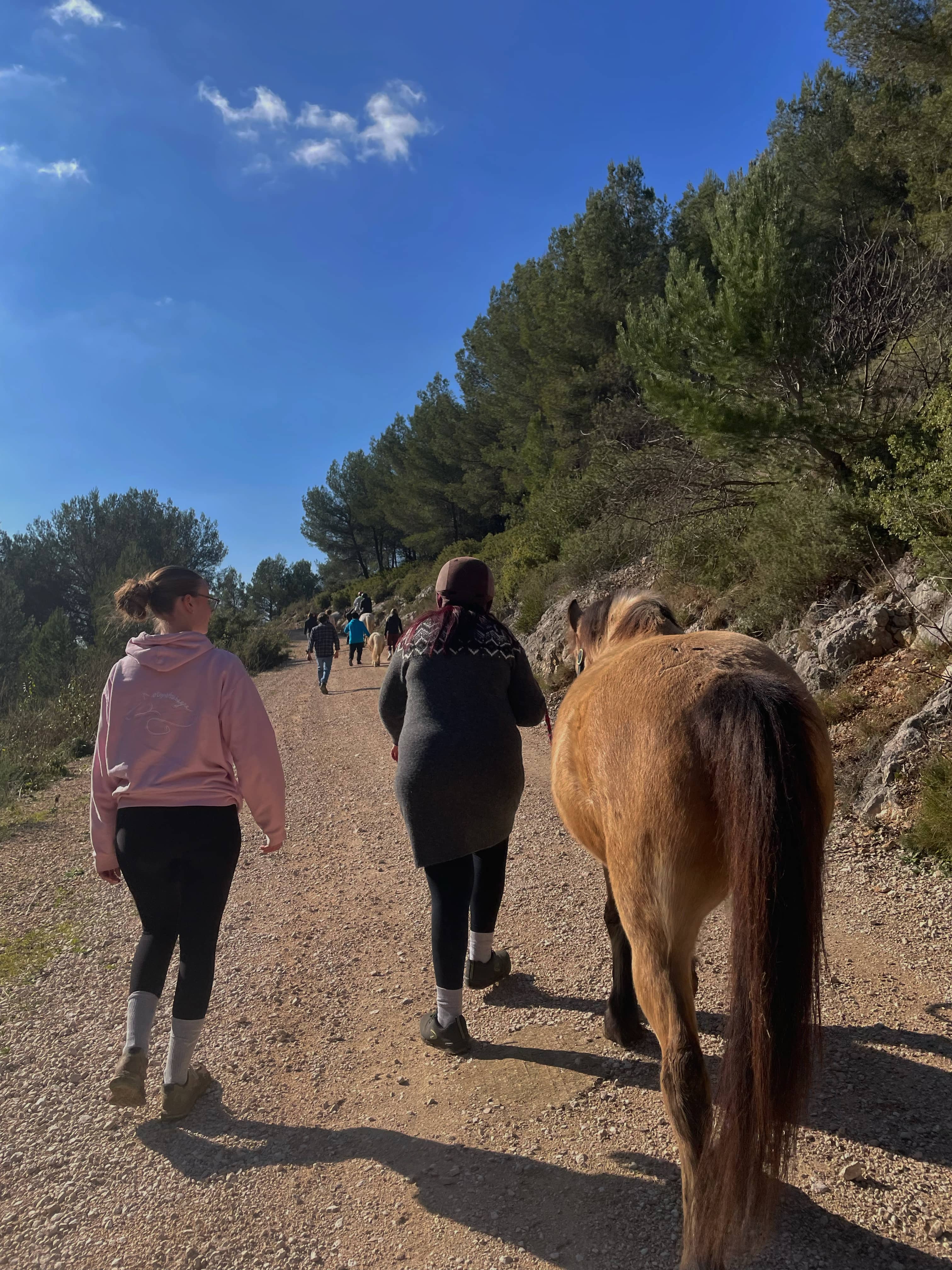 Equitation adaptée aux Foyer de Vie les Chênes