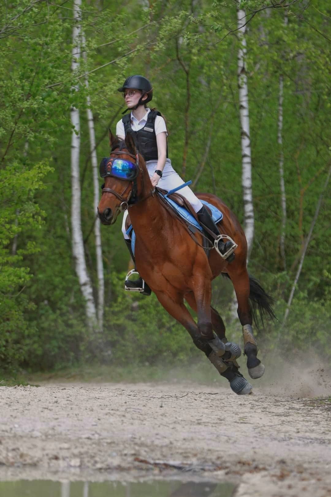 Qu'est-ce qui m'a poussé à choisir STAPS APAS ?